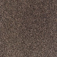 Globe Project-Econyl 732